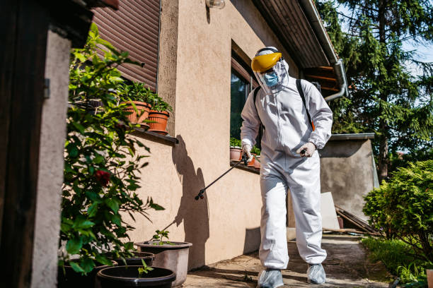Best Pest Control Treatment  in Jay, OK