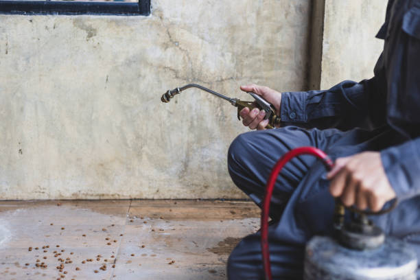 Best Wasp Removal Services  in Jay, OK