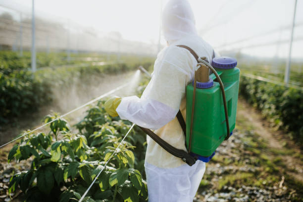 Best Ant Control Services  in Jay, OK